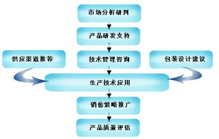 申美飲料 全面服務支持與市場營銷策劃策略
