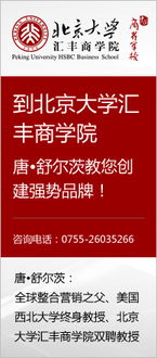 市場營銷 策劃、案例與廣告制作