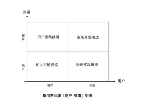 新消費(fèi)品牌塑造之道 解析四大增長(zhǎng)策略與深圳無(wú)限腦洞的營(yíng)銷實(shí)踐